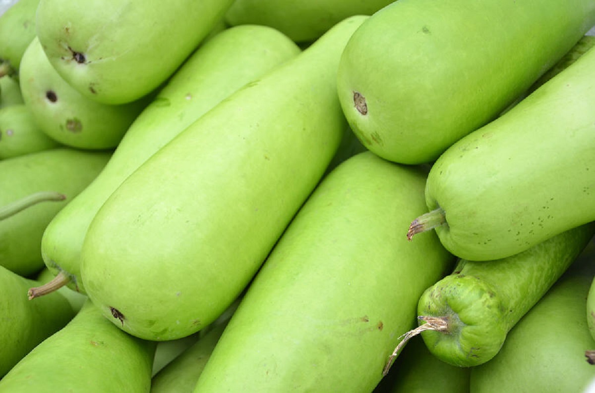 યુરિક એસિડ માટે ઘરેલું ઉપચાર: 2 Bottle gourd dudhi vegetable greeb