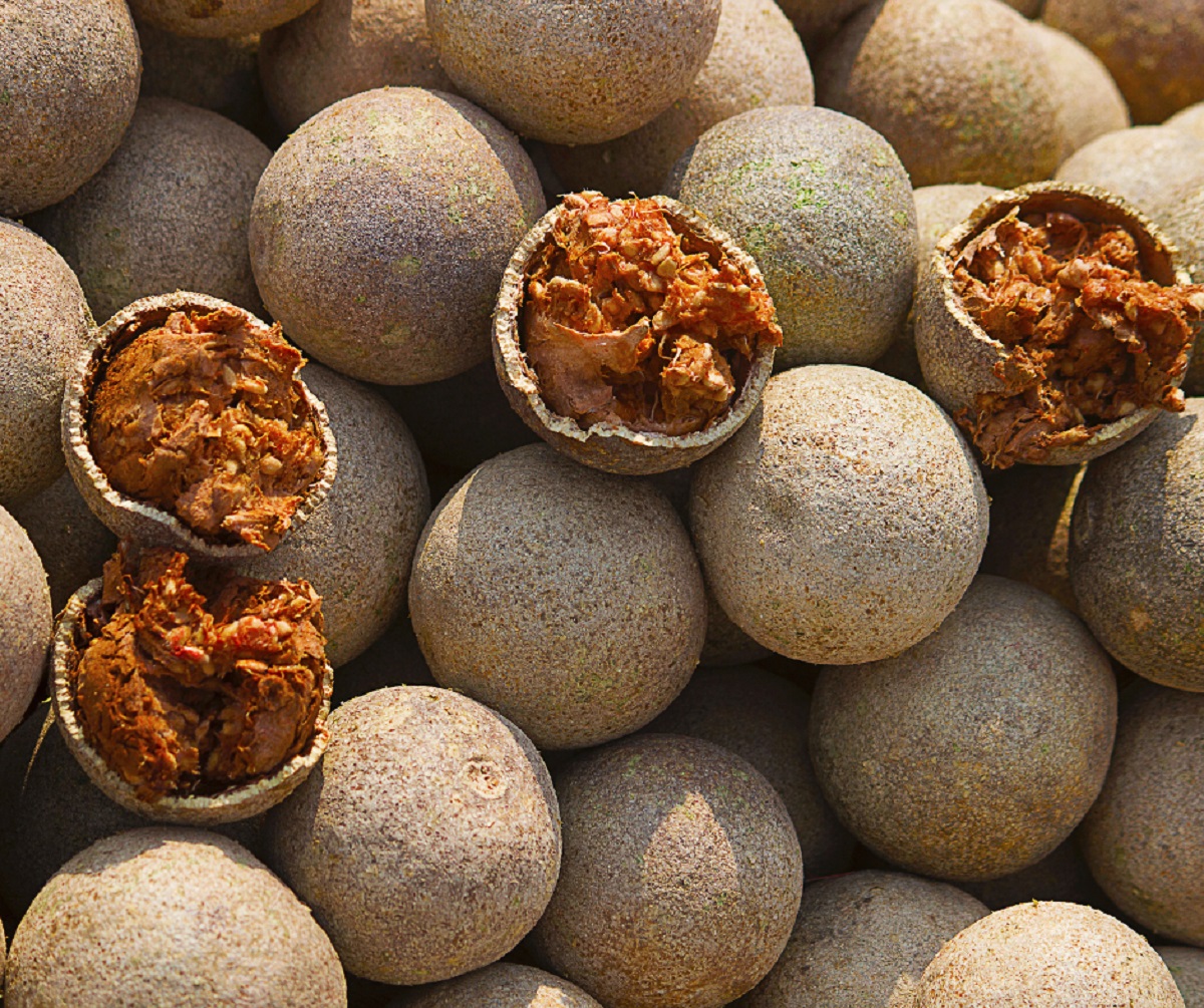 કોઠાના ફળના ફાયદાઓ જાણો 2 kothu wood apple