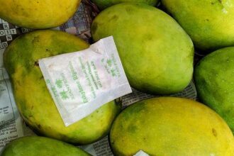 27hy mangoes