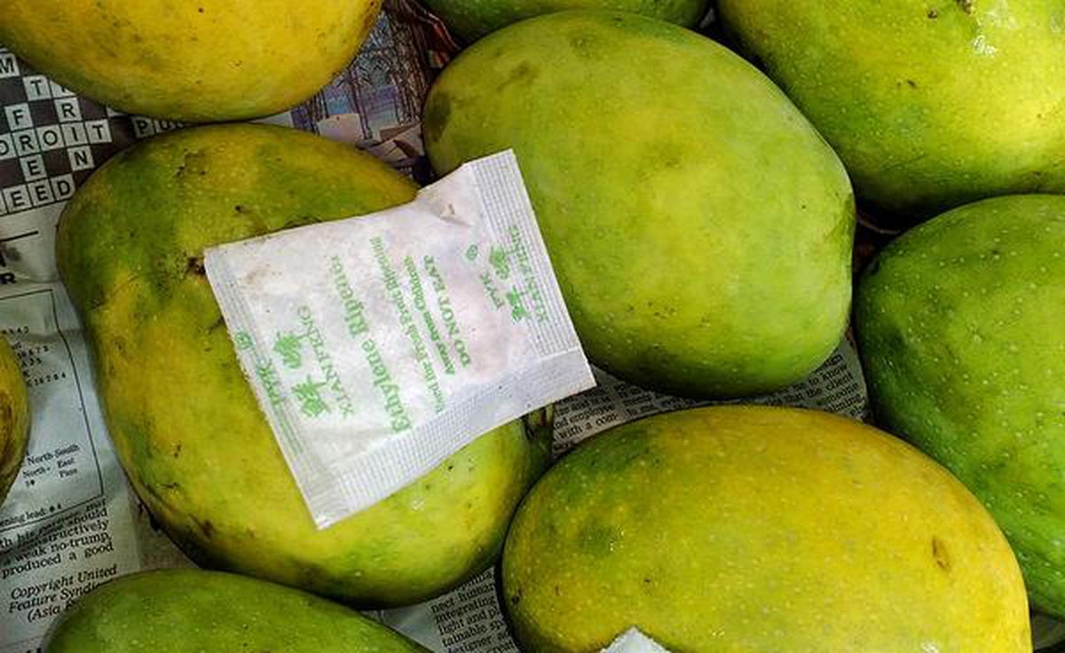27hy mangoes