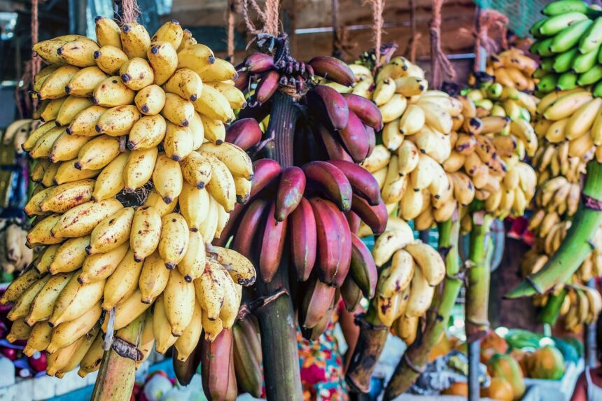 કેવા ફળને ફ્રીજમાં ન રાખવા જોઈએ ? 1 AdobeStock