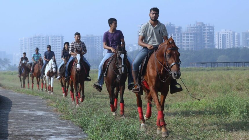 સુરતઃ કારધામાં આયોજિત રોમાંચક હોર્સ રેસિંગ સ્પર્ધામાં વિવિધ પ્રદેશના ઘોડેસવારોએ ભાગ લીધો હતો. 1 KZhCCQmR maxresdefault