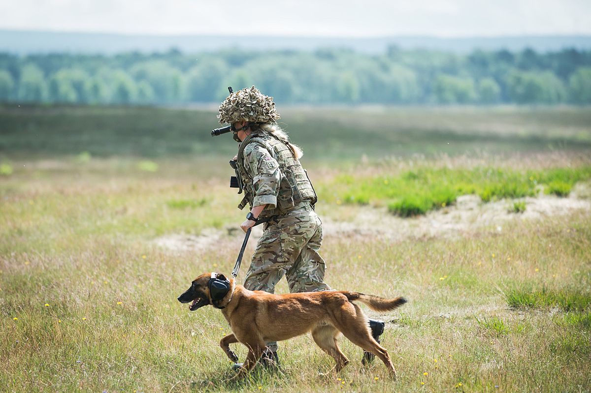 Military Working