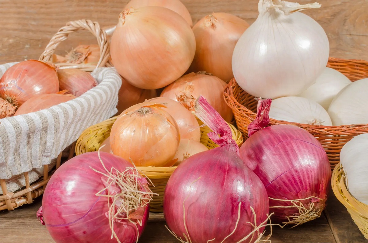 Onion bulbs shap