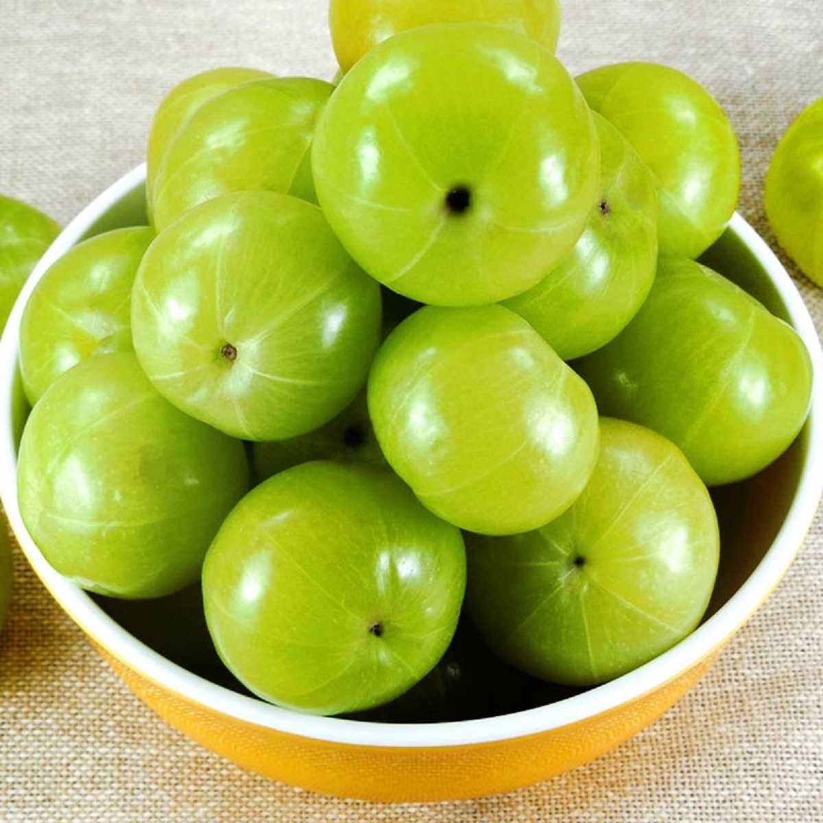 amla 1