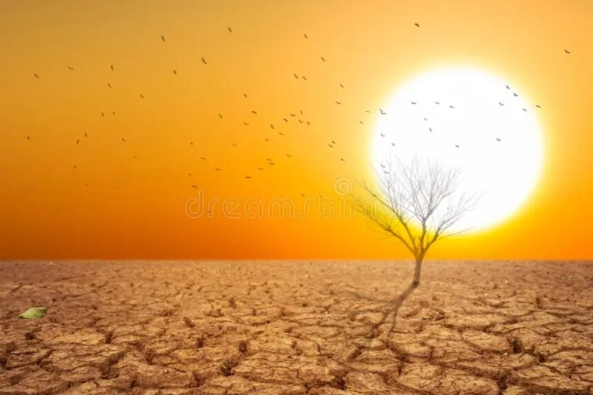 dry land hot d