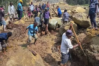 papua new gini