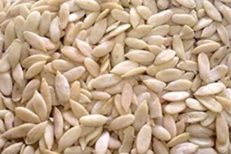 sakartety seed