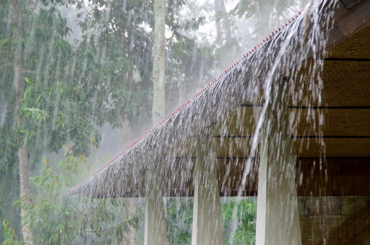 Rain mnj