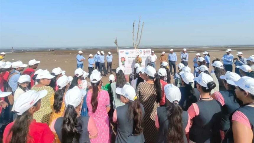 AM/NS ઈન્ડિયાએ "વિશ્વ પર્યાવરણ દિવસ" નિમિત્તે સુવાલી બીચ પર સફાઈ અભિયાન હાથ ધર્યું 1 am ns india