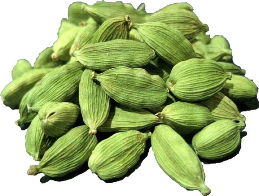 એલચીના પાણીથી થતા ફાયદા જાણો 1 cardamom