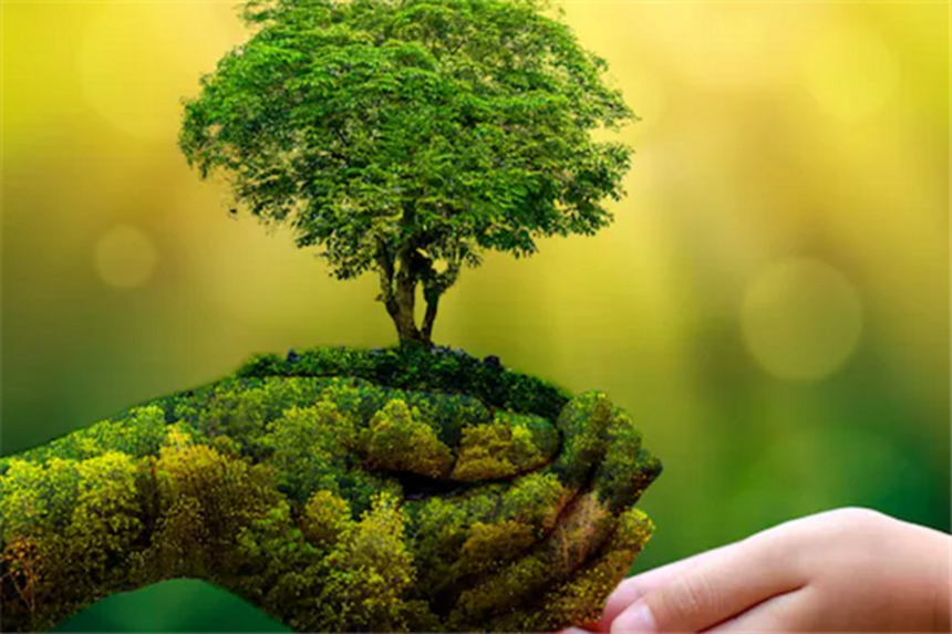 શું ભારતીયોનું આયુષ્ય 51 દિવસ વધ્યું છે ? 1 environment