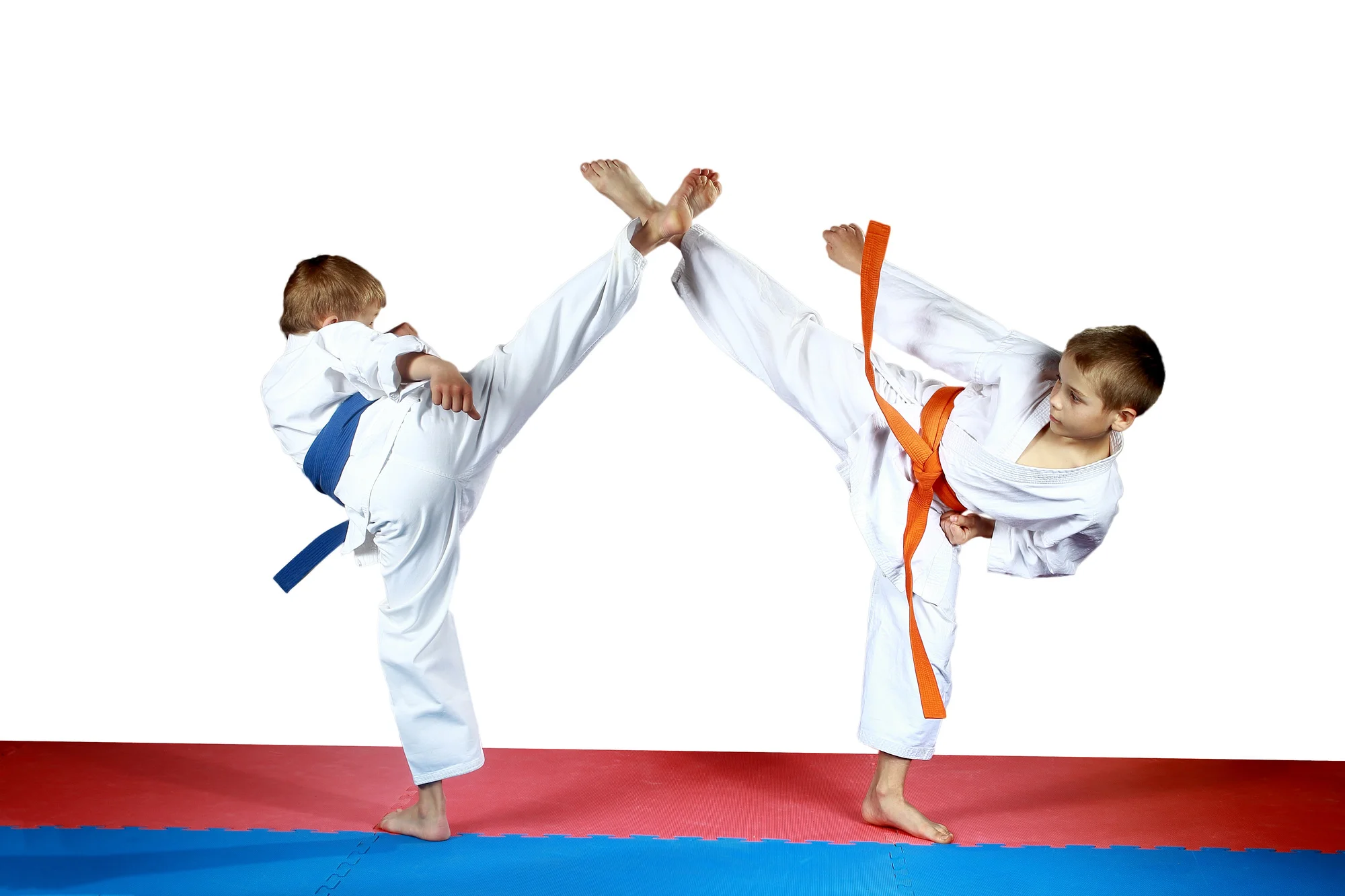 karate vs judo