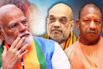 up bjp loss