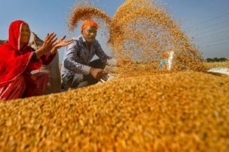 wheat