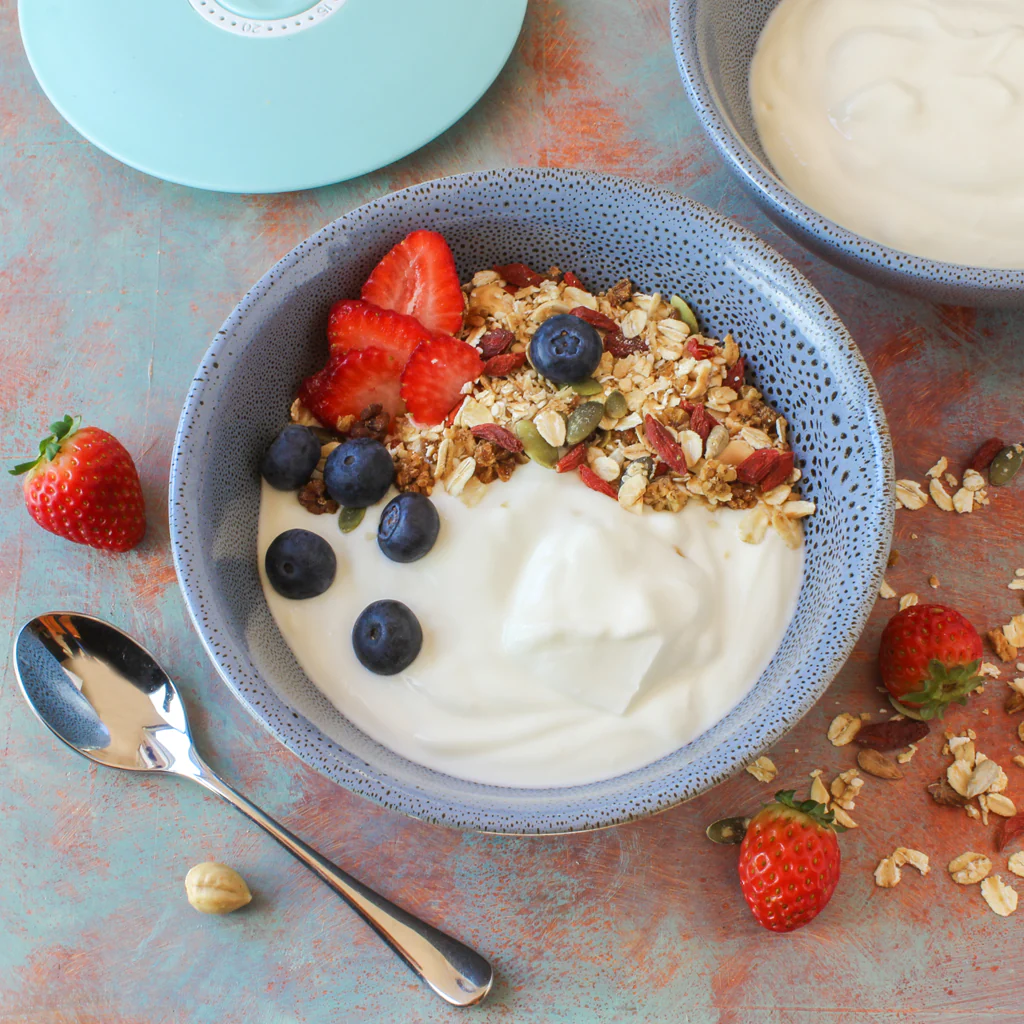 yogurt dahi 1