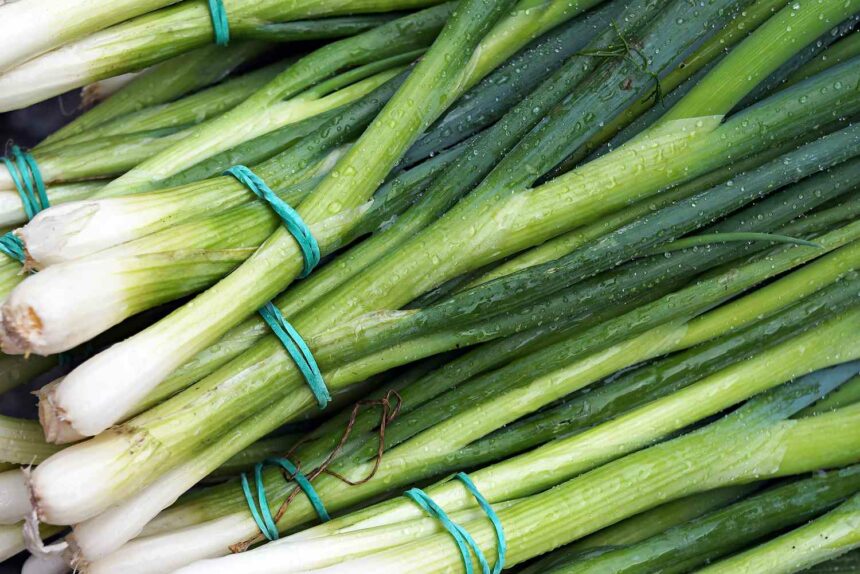 લીલી ડુંગળી ખાવાથી થતા અનેક ફાયદા વિશે જાણો 1 Green Onions