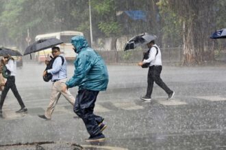 L21iuyWX rain water