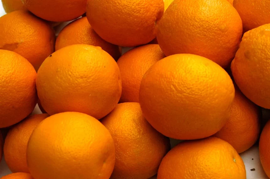 સંતરા ખાવાથી કોને નુકશાન થાય છે ? 1 Oranges
