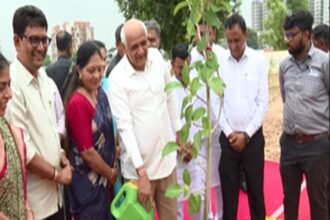 bhupendra patel plantation