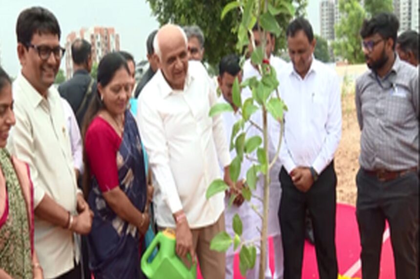 bhupendra patel plantation