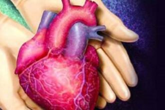 organ donation
