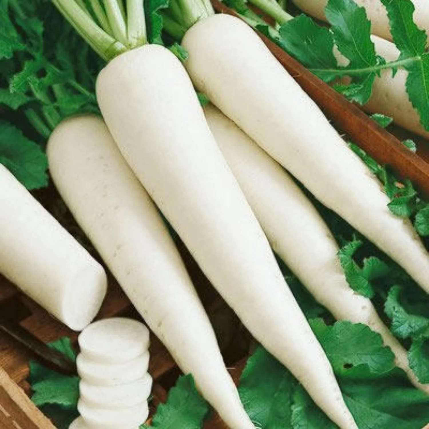 radish