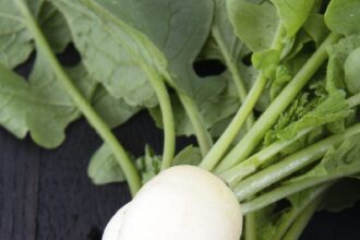 radishes
