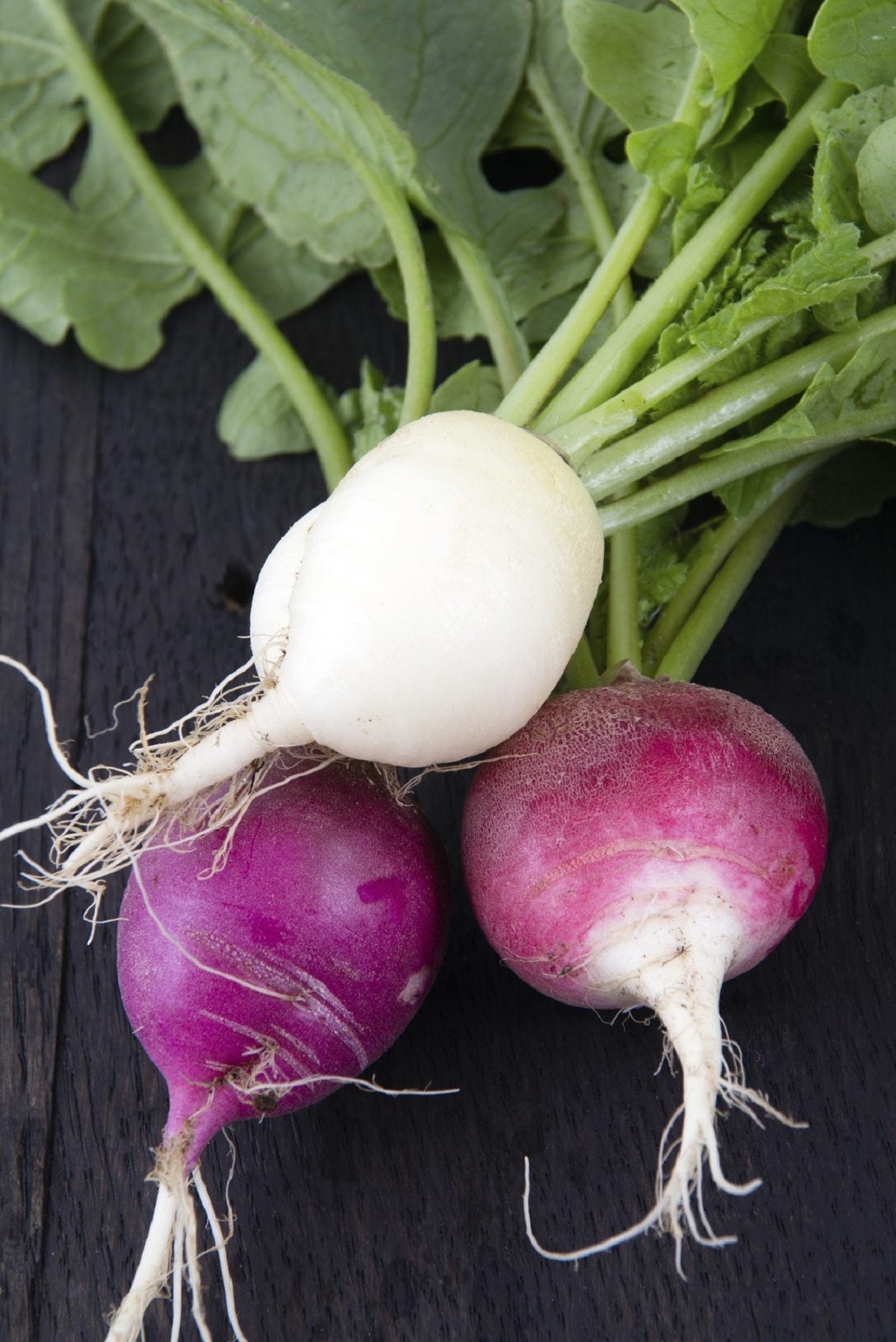 radishes