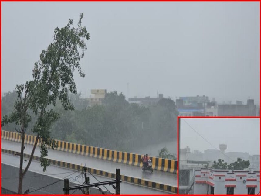 ગુજરાતમાં છેલ્લા 24 કલાકમાં 92 તાલુકામાં વરસાદ ખાબક્યો, આજે દક્ષિણ ગુજરાતમાં ભારે વરસાદની આગાહી 1 rain
