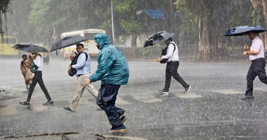 rain water