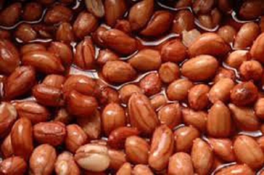 મગફળી ખાવાથી મળે છે ગજબના ફાયદા, જાણો વિગતો 1 soaked pea nuts