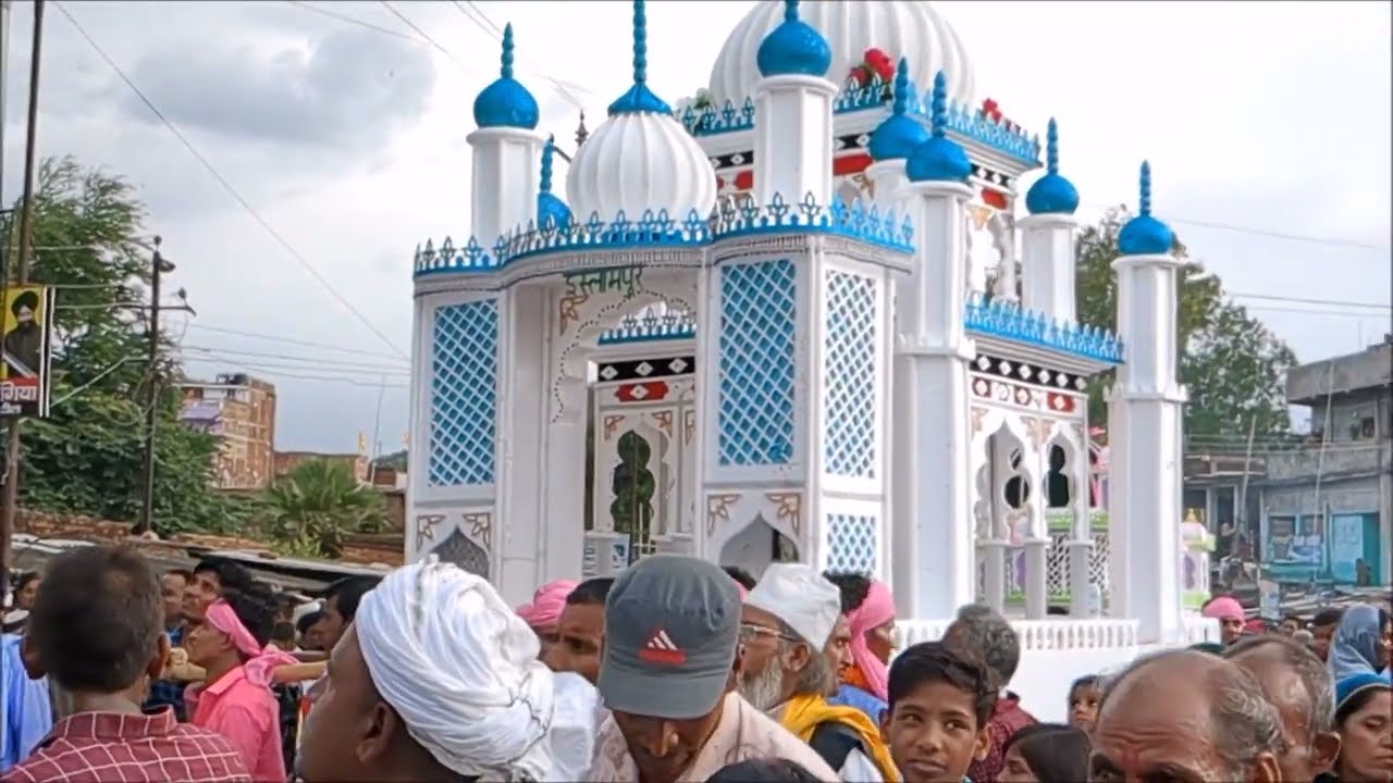 tajiya zulus