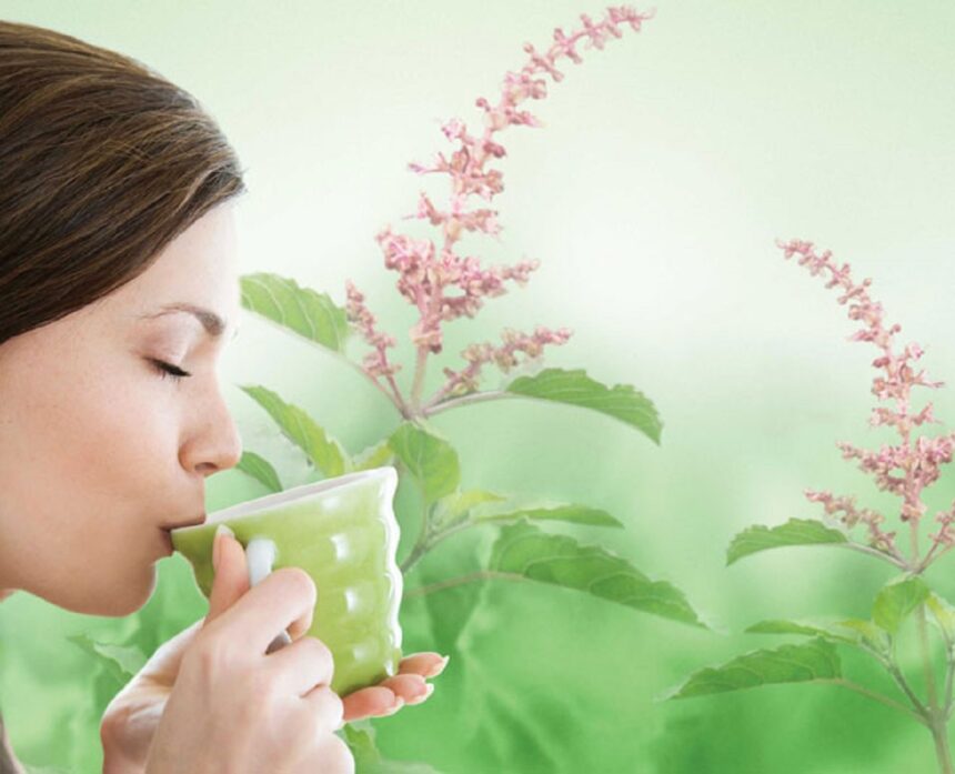 tulsi water benefits m