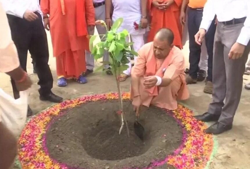 yogi plantation up