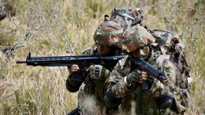 army Sig rifles