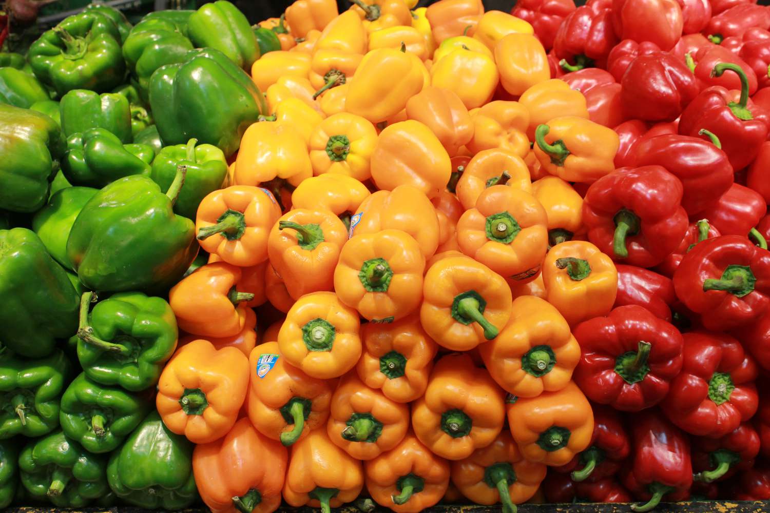 capsicum lila marcha chilli