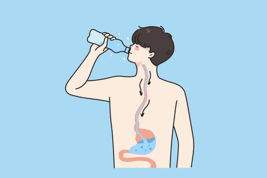drink water clean stomach
