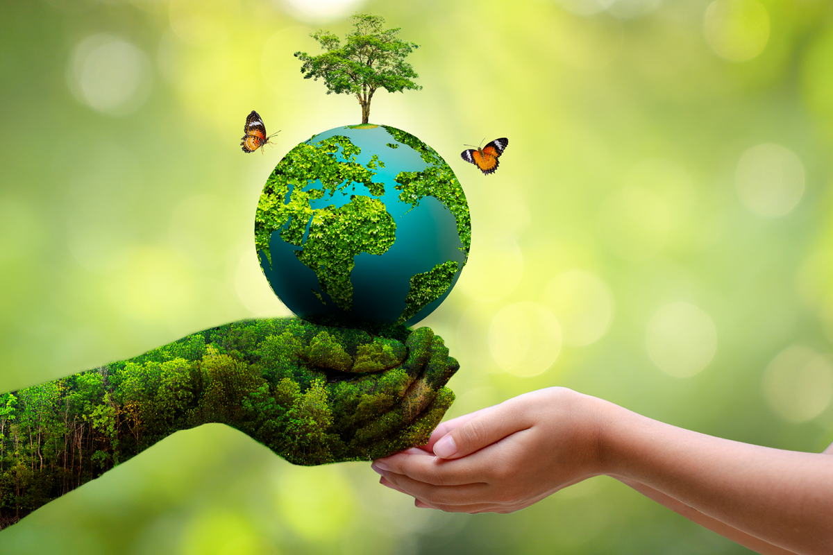 environment 1