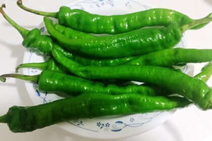 lila marcha chilli