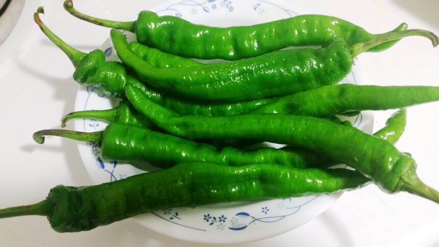 lila marcha chilli