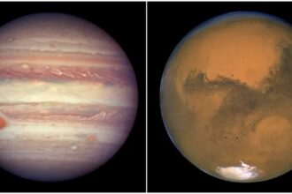 mangal guru marsh and jupiter