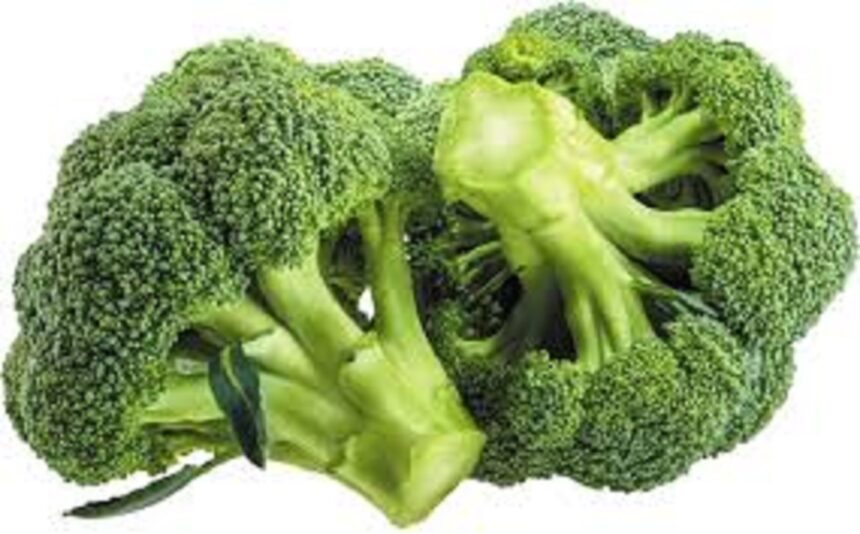 બ્રોકલી ખાવાના અનેક ફાયદાઓ જાણો 1 broccoli