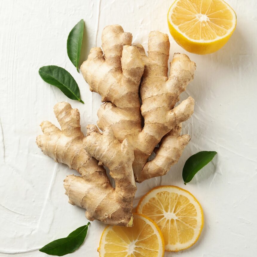 ginger adu