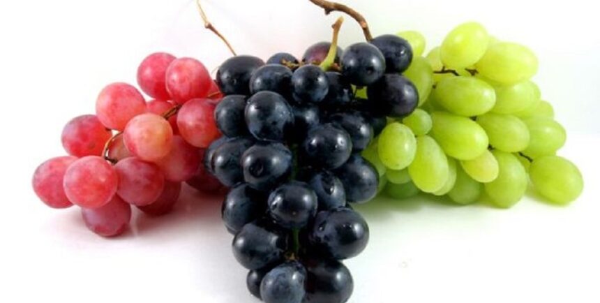 grapes black green red