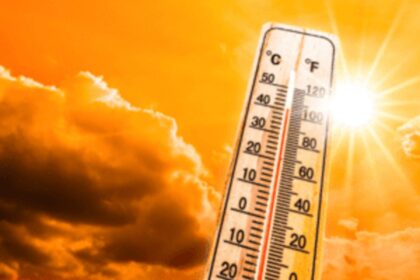 hot too day