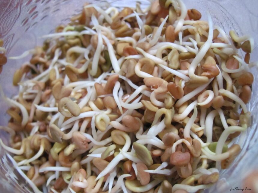 ફણગાવેલી મેથી ખાવાના ફાયદા જાણો 1 methi sprouted fenugreek