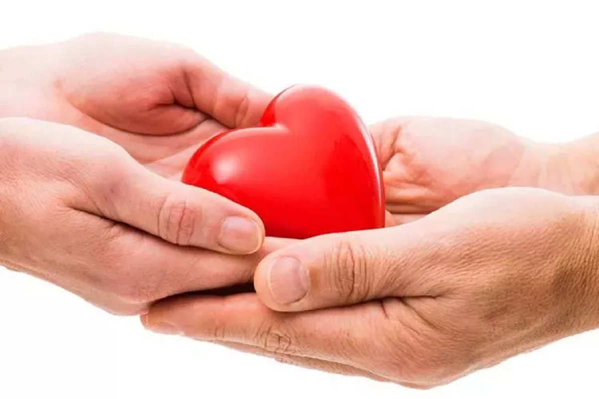 organ donation