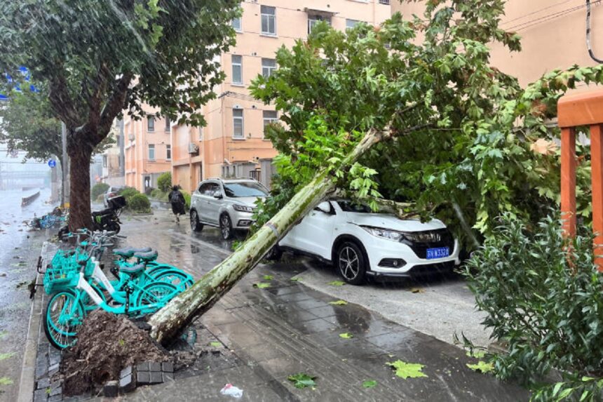 typhoon chin rain vavazodu