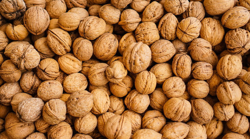 શિયાળામાં રોજ અખરોટ ખાવાના ફાયદા જાણો 1 walnuts akhrot
